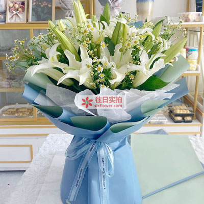 舟山8支白色多头百合洋甘菊，互倾的思念
