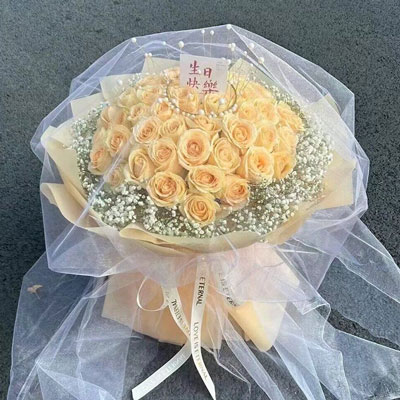 舟山52朵香槟玫瑰满天星，你就是我的全部